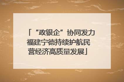 “政银企”协同发力 福建宁德持续护航民营经济高质量发展